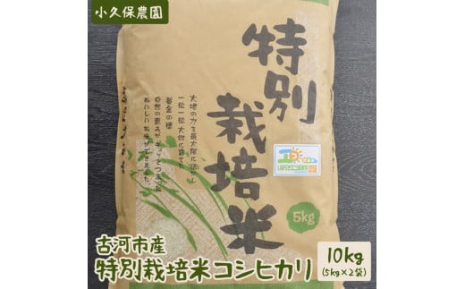 【令和7年産】古河市産 特別栽培米コシヒカリ10kg【小久保農園】 | 米 こめ コメ 10キロ こしひかり コシヒカリ特別栽培米 古河市産 茨城県産 贈答 贈り物 プレゼント 茨城県 古河市 直送 農家直送 産地直送 _AS04