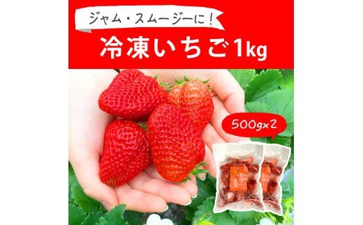 摘みたて!便利な小分け!冷凍いちご1kg(500g×2)_BI08 苺 イチゴ フルーツ 果物 農家直送