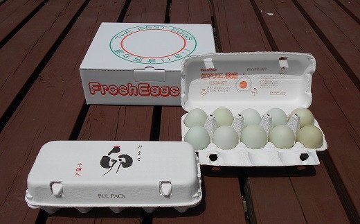 江原ファーム アローカナの青い卵(計20個)たまご タマゴ 新鮮 産地直送_AG10