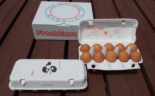 江原ファーム 体に優しい地養卵(計20個)たまご タマゴ 新鮮 産地直送_AG11