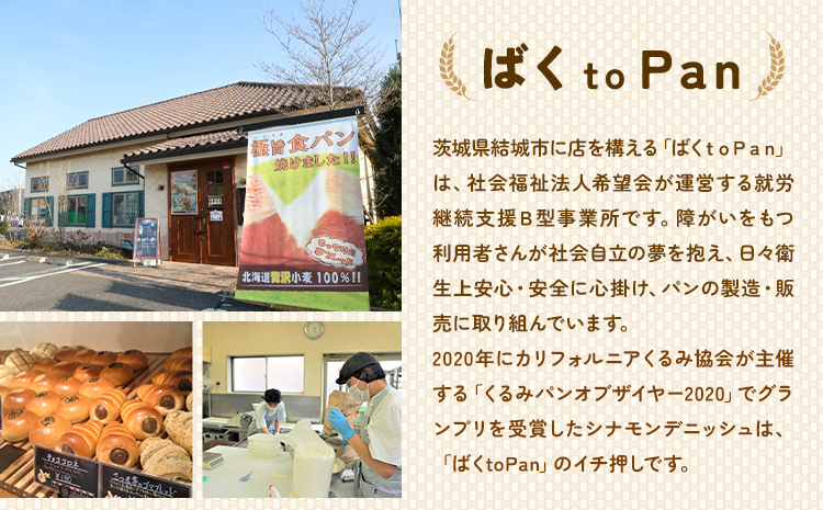 ばくto Pan バラエティセット A 10種類 12個（くるみパンオブザイヤー2020グランプリ受賞店） 《90日以内に出荷予定(土日祝除く)》 茨城県 結城市 パン 食パン ベーカリー ディニッシュ クロワッサン 【配送不可地域あり】---yuki_pkp_3_vara---