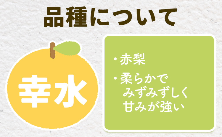 【2025年先行予約】とっくんちの梨「幸水」約5kg 《8月上旬-8月下旬頃出荷予定》 数量限定 鈴木農園 茨城県 結城市 数量限定 果物 フルーツ 甘み ジューシー 豊か 芳香 しゃりっ 爽やかな 季節【配送不可地域あり】---yuki_szk_1_5kg---st-p