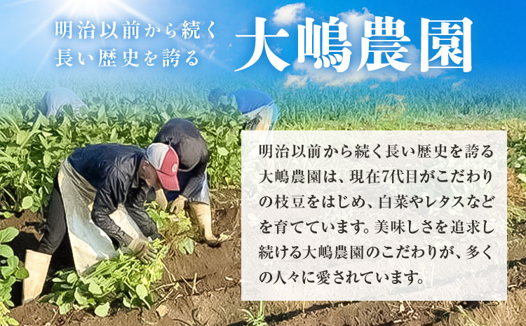 茨城県結城市産枝豆「湯あがり娘」3kg（茶豆味）有限会社大嶋農園 《7月中旬-8月上旬頃出荷》 野菜 国産 甘み 香り 濃厚 つまみ ビールのおつまみ ビールのつまみ【配送不可地域あり】---yuki_osm_5_3kg---
