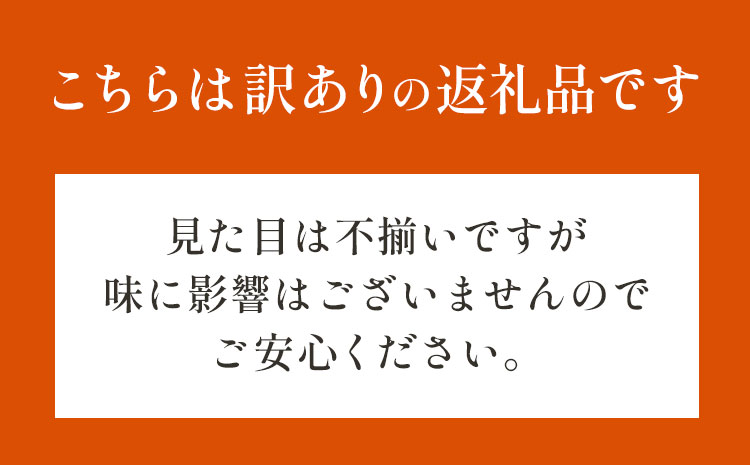 【訳あり】 茨城県結城市産枝豆「湯あがり娘」3kg（茶豆味）　有限会社大嶋農園 《7月中旬-8月上旬頃出荷》 野菜 国産 甘み 香り 濃厚 つまみ ビールのおつまみ ビールのつまみ【配送不可地域あり】---yuki_osm_7_3kg---