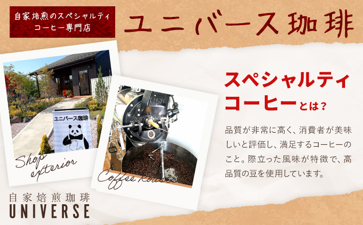 コーヒー豆セット セットA 豆のまま コロンビア スペシャルブレンド ブラジル (各100g) ユニバース珈琲 《30日以内に出荷予定(土日祝除く)》 コーヒー 豆 セット 飲み比べ【配送不可地域あり】(沖縄・離島)---yuki_yuni_1_cbs---