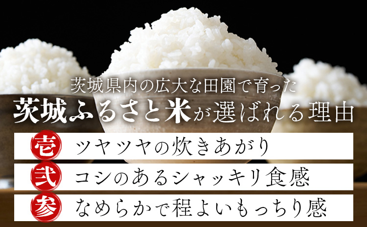 米 茨城 ふるさと米 無洗米 10kg 5kg×2袋《7-14日以内に出荷予定(土日祝除く)》茨城県 結城市 米 国産 お米 おこめ お弁当 おにぎり---yuki_local_170_10kg---