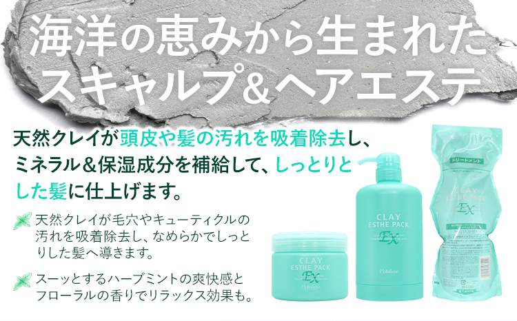 トリートメント クレイエステ パック EX 1000g《30日以内に出荷予定(土日祝除く)》茨城県 結城市 化粧品 ヘアケア トリートメント ミント スカルプ ヘアエステ クレイ 詰め替え用 ケア用品 ヘア 美容　日用品　雑貨【配送不可地域あり】---yuki_s_26_1000g---