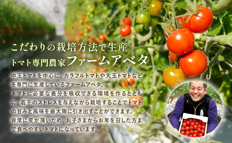 中玉フルーツトマト ゼッピン娘 1.8kg ×1箱 希少な品種 華おとめ 甘い 野菜 結城市産 ゼッピン娘 華おとめ 中玉品種 皮が薄い 薄皮 サラダ 前菜 食材 料理《10月中旬～5月末頃出荷》---yuki_fab_5_1800g---