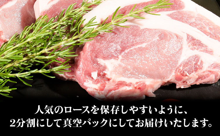 う～んまいから！くっちみ～ 茨城県産 豚ロース 約3.8kg ～ 5kg 前後 ブロック ２分割でお届け 協同農産 《90日以内に出荷予定(土日祝除く)》 肉 豚肉 ポーク 国産 ローストポークロースハム 角煮 茨城県 結城市【配送不可地域あり】(北海道・沖縄・離島)---yuki_kyod_1_5kg---