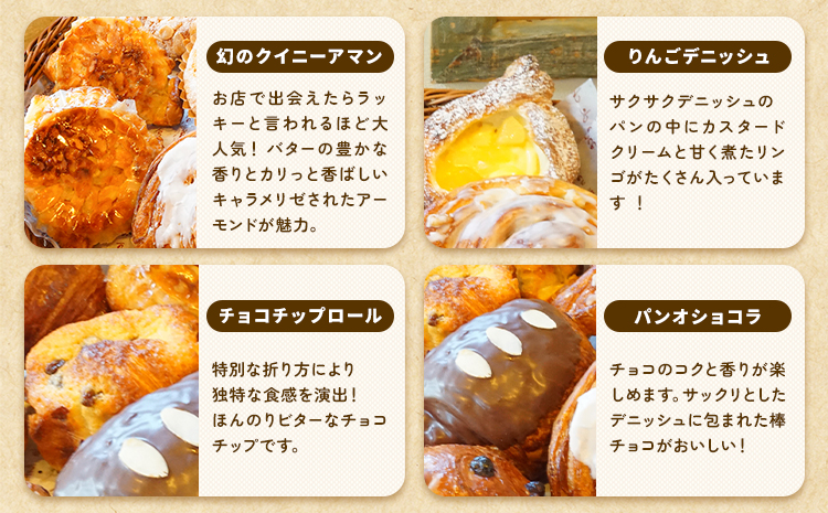 ばくto Pan ディニッシュ Lover セット 8種類 11個 詰め合わせ （くるみパンオブザイヤー2020グランプリ受賞店） 《90日以内に出荷予定(土日祝除く)》 茨城県 結城市 パン 食パン ディニッシュ クロワッサン クイニーアマン おやつ 【配送不可地域あり】---yuki_pkp_2_love---