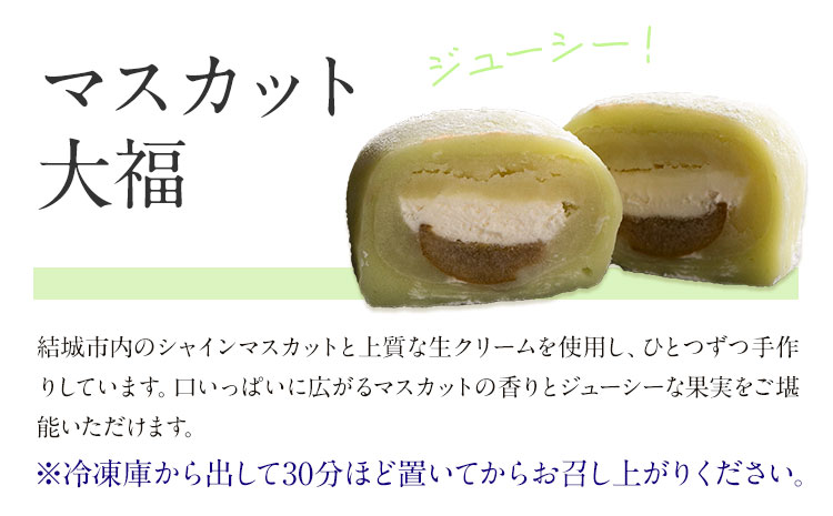 和菓子 シャインマスカット大福 12個入 富士峰菓子舗《90日以内に出荷予定(土日祝除く)》 和菓子 手作り マスカットの香り ジューシー 手土産 【配送不可地域あり】---yuki_fjk_1_12p---