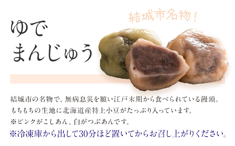 和菓子 シャインマスカット大福 ゆでまんじゅう カフェオレ大福 15個入  富士峰菓子舗《90日以内に出荷予定(土日祝除く)》 和菓子 手作り マスカットの香り ジューシー 手土産 お饅頭 もちもち コーヒー餡 【配送不可地域あり】（離島）---yuki_fjk_3_15p---