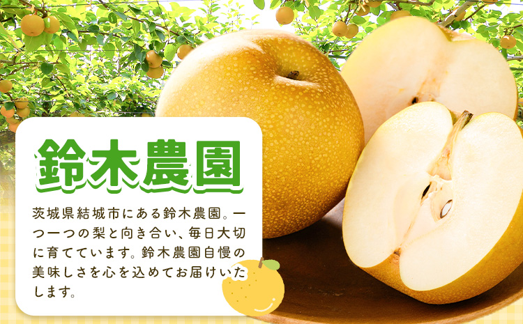 【2025年先行予約】とっくんちの梨「幸水」約5kg 《8月上旬-8月下旬頃出荷予定》 数量限定 鈴木農園 茨城県 結城市 数量限定 果物 フルーツ 甘み ジューシー 豊か 芳香 しゃりっ 爽やかな 季節【配送不可地域あり】---yuki_szk_1_5kg---st-p