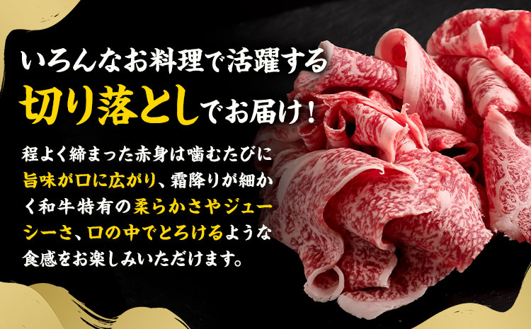 黒毛和牛 牛肉 切り落とし 3.6kg 300g×12パック 茨城県 結城市 東和食品 《30日以内に出荷予定(土日祝除く)》お肉 肉 牛肉 和牛 牛 切り落とし 薄切り ロース バラ 精肉 国産 国産牛 高級 すき焼き 牛丼 肉じゃが 焼肉 バーベキュー BBQ 冷凍 お取り寄せ グルメ 送料無料【配送不可地域あり】---yuki_towa_4_3600g---