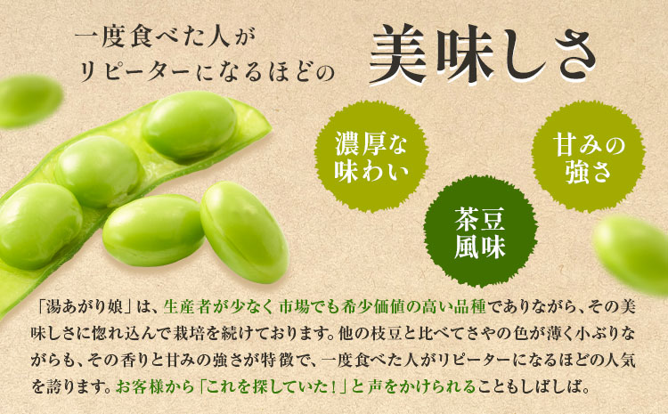茨城県結城市産枝豆「湯あがり娘」3kg（茶豆味）有限会社大嶋農園 《7月中旬-8月上旬頃出荷》 野菜 国産 甘み 香り 濃厚 つまみ ビールのおつまみ ビールのつまみ【配送不可地域あり】---yuki_osm_5_3kg---