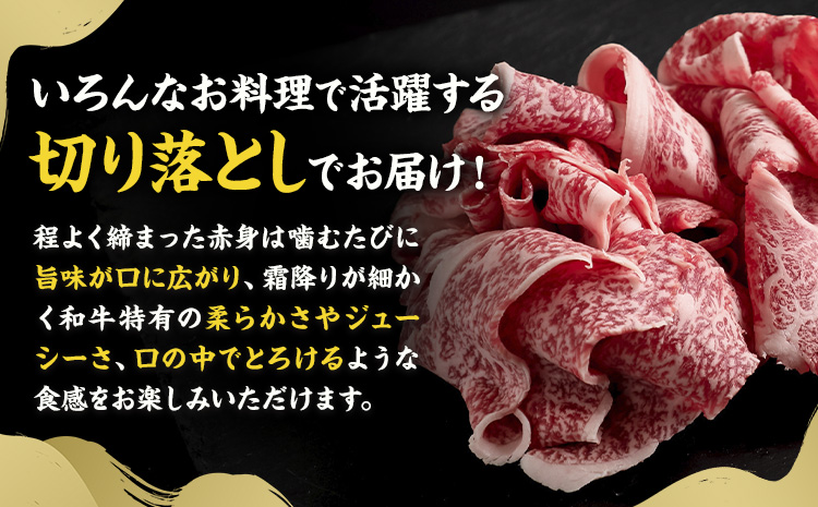 黒毛和牛 牛肉 切り落とし 1.2kg（300g×4） 茨城県 結城市 東和食品《30日以内に出荷予定(土日祝除く) 》お肉 肉 牛肉 和牛 牛 切り落とし 薄切り ロース バラ 精肉 国産 国産牛 高級 すき焼き 牛丼 肉じゃが 焼肉 バーベキュー BBQ 冷凍【配送不可地域あり】---yuki_towa_16_1200g---