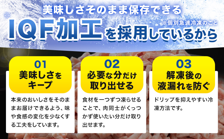 豚 ひき肉 茨城県産 3kg 300gパック 協同農産 《90日以内に出荷予定(土日祝除く)》 肉 豚肉 ミンチ ハンバーグ 餃子 便利 小分け 茨城県 結城市 【配送不可地域あり】(沖縄・離島)---yuki_kyod_4_3kg---
