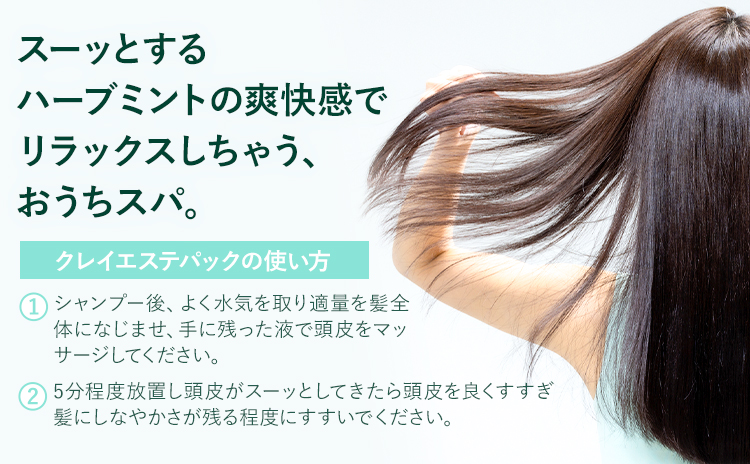 トリートメント クレイエステ パック EX 500g《30日以内に出荷予定(土日祝除く)》茨城県 結城市 化粧品 ヘアケア トリートメント ミント スカルプ ヘアエステ クレイ 詰め替え用 ケア用品 ヘア 美容　日用品　雑貨【配送不可地域あり】---yuki_s_25_500g---