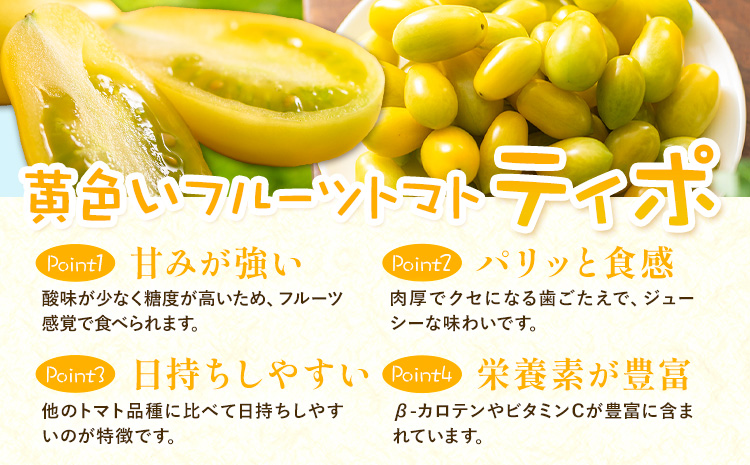 パリッと食感の黄色いフルーツトマト ティポ 1.8kg (1箱) ジャム さっぱり 黄色い トマト 野菜 茨城県産 結城市産 国産 さっぱり 酸味が少ない 日持ち 食材 サラダ トッピング 料理《10月中旬～5月末頃出荷》---yuki_fab_1_1800g---