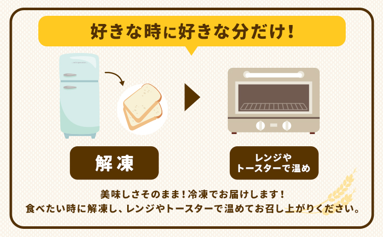 ばくto Pan バラエティセット B 10種類 14個（くるみパンオブザイヤー2020グランプリ受賞店） 《90日以内に出荷予定(土日祝除く)》 茨城県 結城市 パン 食パン ベーカリー ディニッシュ クロワッサン 【配送不可地域あり】---yuki_pkp_4_varb---