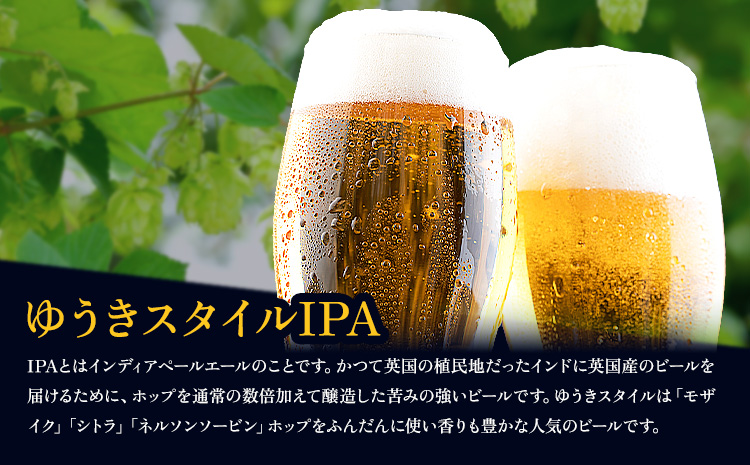 ビールの縁側 つむぎの郷発祥！ スターターセット クラフトビール3L + 専用ポンプセット 株式会社結城麦酒《90日以内に出荷予定(土日祝除く)》茨城県 結城市 クラフトビール お酒 酒 ポップ 結城市産---yuki_mgi_1_3lp---
