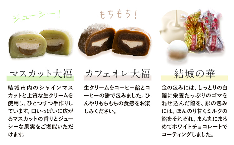 和菓子 結城の美味しい味力（みりょく）満載 富士峰菓子舗《90日以内に出荷予定(土日祝除く)》茨城県 結城市 和菓子 スイーツ 詰め合わせ 桑の里 寒天ゼリー 白餡 すりごま入り餡 ホワイトチョコレート 大福 コーヒー 抹茶 シャインマスカット---yuki_fjk_4_s1---