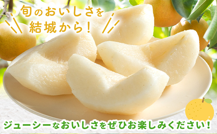 【2025年先行予約】とっくんちの梨「幸水」約5kg 《8月上旬-8月下旬頃出荷予定》 数量限定 鈴木農園 茨城県 結城市 数量限定 果物 フルーツ 甘み ジューシー 豊か 芳香 しゃりっ 爽やかな 季節【配送不可地域あり】---yuki_szk_1_5kg---st-p