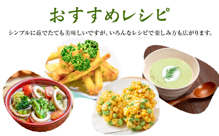 茨城県結城市産枝豆「湯あがり娘」4.5kg（茶豆味）有限会社大嶋農園 《7月中旬-8月上旬頃出荷》 野菜 国産 甘み 香り 濃厚 つまみ ビールのおつまみ ビールのつまみ【配送不可地域あり】---yuki_osm_6_4500g---