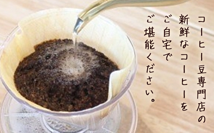 コーヒー豆セット セットC 豆のまま モカ スペシャルブレンド ブラジル (各100g) ユニバース珈琲 《30日以内に出荷予定(土日祝除く)》 コーヒー 豆 セット 飲み比べ【配送不可地域あり】(沖縄・離島)---yuki_yuni_3_mbs---
