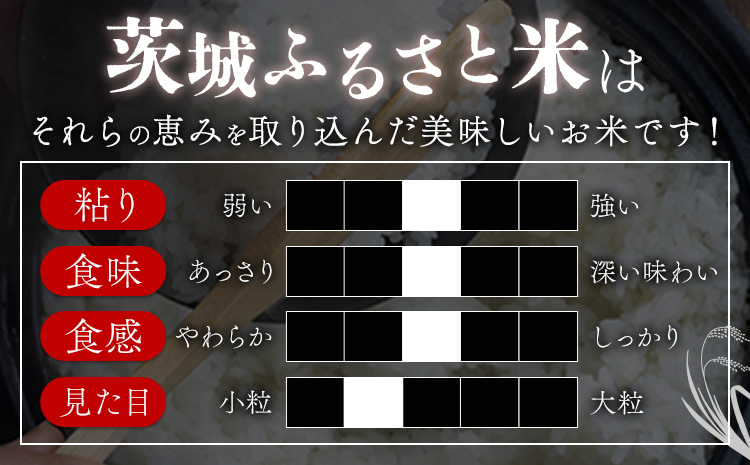 米 茨城 ふるさと米 無洗米 5kg 5kg×1袋《7-14日以内に出荷予定(土日祝除く)》茨城県 結城市 米 国産 お米 おこめ お弁当 おにぎり---yuki_local_169_5kg---