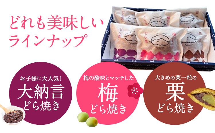 手焼き どら焼き 詰め合わせ 3種 計6個 富士峰菓子舗《90日以内に出荷予定(土日祝除く)》茨城県 結城市 どら焼き お菓子 スイーツ 和菓子 どらやき---yuki_fjk_5_s2---