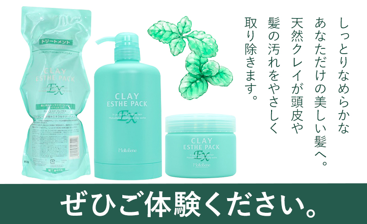 トリートメント クレイエステ パック EX 300g《30日以内に出荷予定(土日祝除く)》茨城県 結城市 化粧品 ヘアケア トリートメント ミント スカルプ ヘアエステ クレイ 詰め替え用 ケア用品 ヘア 美容　日用品　雑貨【配送不可地域あり】---yuki_s_24_300g---
