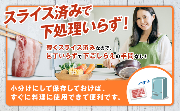 茨城県産 豚肉 ロース スライス 500g 1パック 500g 株式会社セントラルフード 《30日以内に出荷予定(土日祝を除く)》肉 豚肉 ロース 国産 スライス 生姜焼き 茨城県 結城市---yuki_food_1_1p---