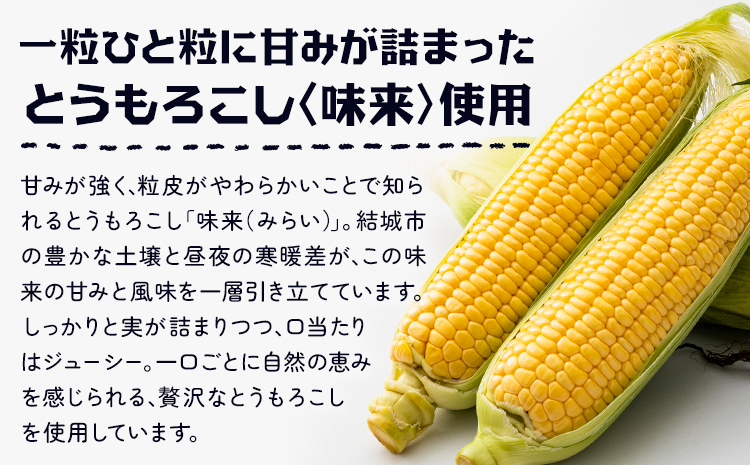 ビール ゆうきみらいエール 330ml × 6本 株式会社結城麦酒《30日以内に出荷予定(土日祝除く)》茨城県 結城市 ビール 酒 エール クラフトビール 瓶 国産---yuki_mgi_21_6b---