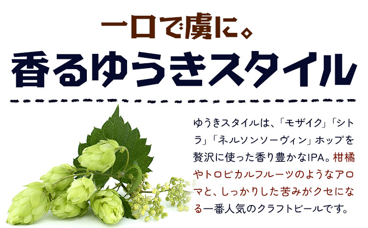ビール ゆうきスタイルIPA 330ml×6本 株式会社結城麦酒《30日以内に出荷予定(土日祝除く)》茨城県 結城市 ビール 酒 エール クラフトビール 瓶 敬老の日 国産 IPA ホップ---yuki_mgi_9_6b---