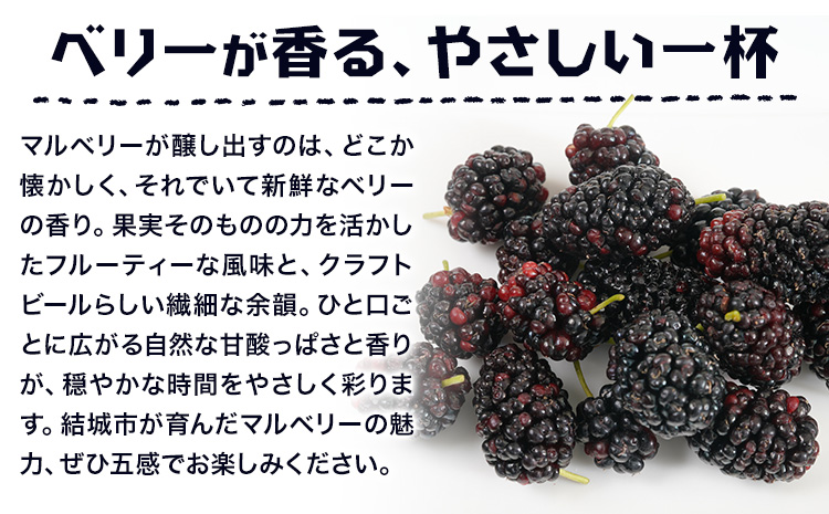 ビール つむぎエール 330ml × 3本 株式会社結城麦酒《30日以内に出荷予定(土日祝除く)》茨城県 結城市 ビール 酒 エール クラフトビール 瓶 国産 桑の実---yuki_mgi_18_3b---