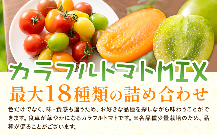 パリッと食感の黄色いフルーツトマト ティポ 900g カラフルトマト 900g ジャム さっぱり 黄色い トマト 野菜 茨城県産 結城市産 国産 さっぱり 酸味が少ない 日持ち 食材 サラダ トッピング 料理《10月中旬～5月末頃出荷》---yuki_fab_2_1800g---