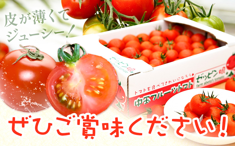 中玉フルーツトマト ゼッピン娘 1.8kg ×2箱 計3.6kg 希少な品種 華おとめ 甘い 野菜 結城市産 ゼッピン娘 華おとめ 中玉品種 皮が薄い 薄皮 サラダ 前菜 食材 料理《10月中旬～5月末頃出荷》---yuki_fab_3_3600g---