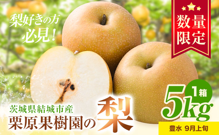 【先行予約】栗原果樹園 梨 5kg  豊水 茨城県 結城市 なし 梨 フルーツ 旬 果物 【配送不可地域あり】《8月下旬-9月上旬頃出荷予定》---yuki_krh_3_5kg---st-p