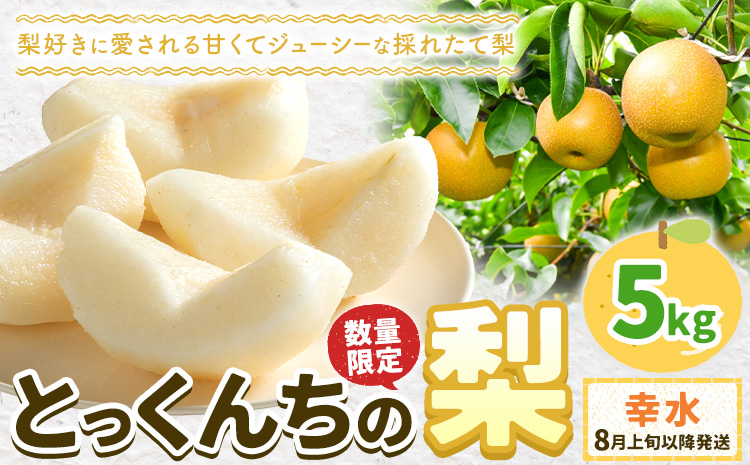 【2025年先行予約】とっくんちの梨「幸水」約5kg 《8月上旬-8月下旬頃出荷予定》 数量限定 鈴木農園 茨城県 結城市 数量限定 果物 フルーツ 甘み ジューシー 豊か 芳香 しゃりっ 爽やかな 季節【配送不可地域あり】---yuki_szk_1_5kg---st-p