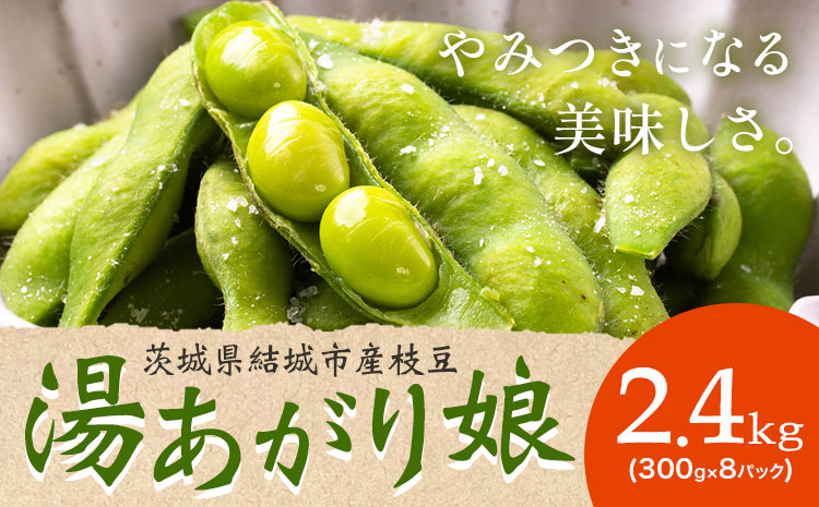 茨城県結城市産枝豆「湯あがり娘」2.4kg（300g×8パック）（茶豆味）有限会社大嶋農園 《7月中旬-8月上旬頃出荷》 野菜 国産 甘み 香り えだまめ 濃厚 つまみ ビールのおつまみ ビールのつまみ【配送不可地域あり】---yuki_osm_4_2400g---