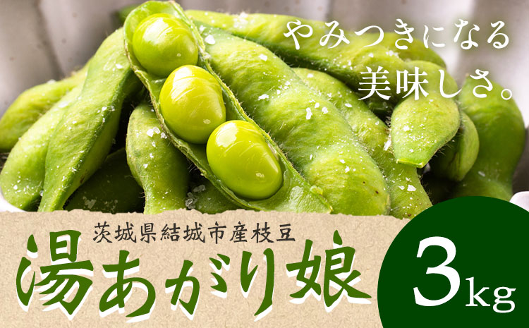 茨城県結城市産枝豆「湯あがり娘」3kg（茶豆味）有限会社大嶋農園 《7月中旬-8月上旬頃出荷》 野菜 国産 甘み 香り 濃厚 つまみ ビールのおつまみ ビールのつまみ【配送不可地域あり】---yuki_osm_5_3kg---