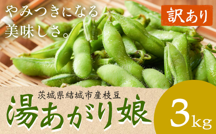 【訳あり】 茨城県結城市産枝豆「湯あがり娘」3kg（茶豆味）　有限会社大嶋農園 《7月中旬-8月上旬頃出荷》 野菜 国産 甘み 香り 濃厚 つまみ ビールのおつまみ ビールのつまみ【配送不可地域あり】---yuki_osm_7_3kg---