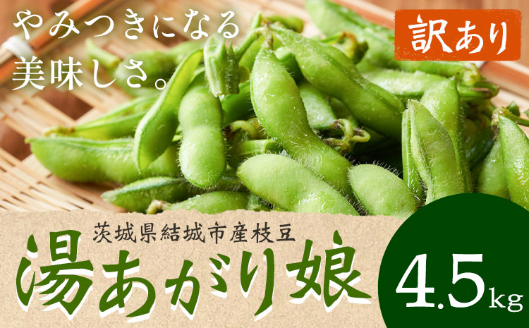 【訳あり】枝豆 茨城県結城市産枝豆「湯あがり娘」4.5kg （茶豆味）　有限会社大嶋農園 《7月中旬-8月上旬頃出荷》 野菜 国産 甘み 香り 濃厚 えだまめ えだ豆 つまみ ビールのおつまみ ビールのつまみ【配送不可地域あり】---yuki_osm_8_4500g---