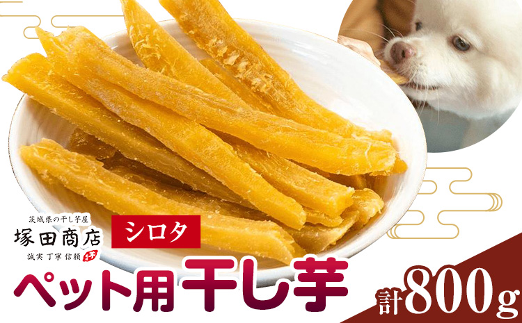 干し芋 ペット用 干し芋 シロタ 800g 茨城県産 紅はるか ほしいも 塚田商店 《30日以内に出荷予定(土日祝除く)》干し芋 干しいも さつまいも サツマイモ さつま芋 お菓子 スイーツ おやつ 和菓子 結城市　訳あり---yuki_tkd_27_s8p---