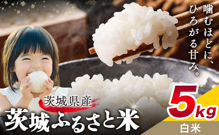 米 茨城 ふるさと米 白米 5kg 5kg×1袋《7-14日以内に出荷予定(土日祝除く)》茨城県 結城市 米 国産 お米 おこめ お弁当 おにぎり---yuki_local_173_5kg---