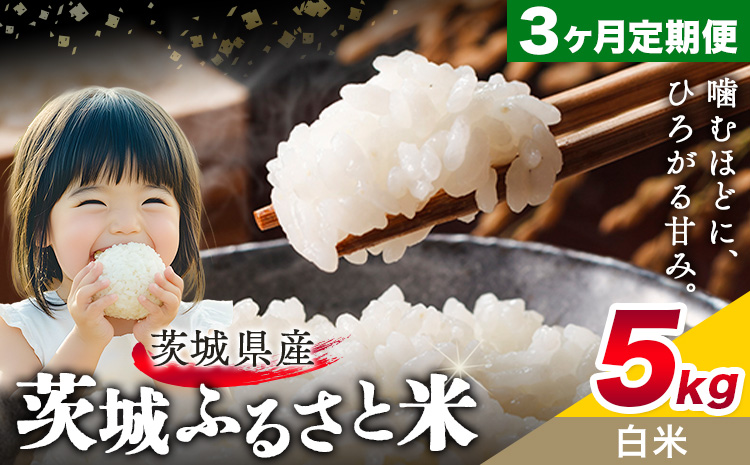 米 茨城 ふるさと米 白米 5kg 5kg×1袋 3回お届け 定期便《お申し込み月の翌月から出荷開始》茨城県 結城市 米 国産 お米 おこめ お弁当 おにぎり---yuki_local_21_5kg3tei---