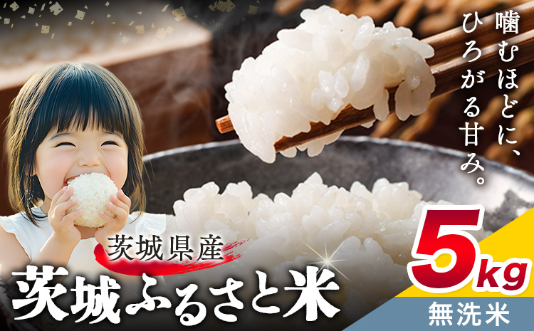 米 茨城 ふるさと米 無洗米 5kg 5kg×1袋《7-14日以内に出荷予定(土日祝除く)》茨城県 結城市 米 国産 お米 おこめ お弁当 おにぎり---yuki_local_169_5kg---
