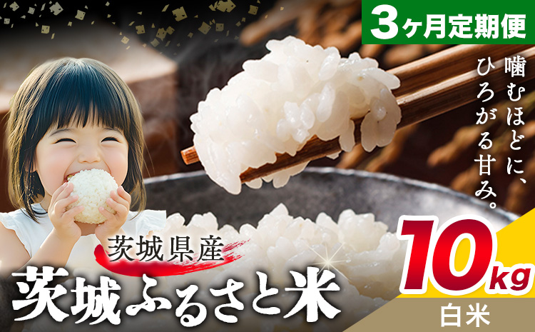 米 茨城 ふるさと米 白米 10kg 5kg×2袋 3回お届け 定期便《お申し込み月の翌月から出荷開始》茨城県 結城市 米 国産 お米 おこめ お弁当 おにぎり---yuki_local_24_10kg3tei---