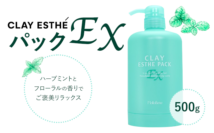 トリートメント クレイエステ パック EX 500g《30日以内に出荷予定(土日祝除く)》茨城県 結城市 化粧品 ヘアケア トリートメント ミント スカルプ ヘアエステ クレイ 詰め替え用 ケア用品 ヘア 美容　日用品　雑貨【配送不可地域あり】---yuki_s_25_500g---